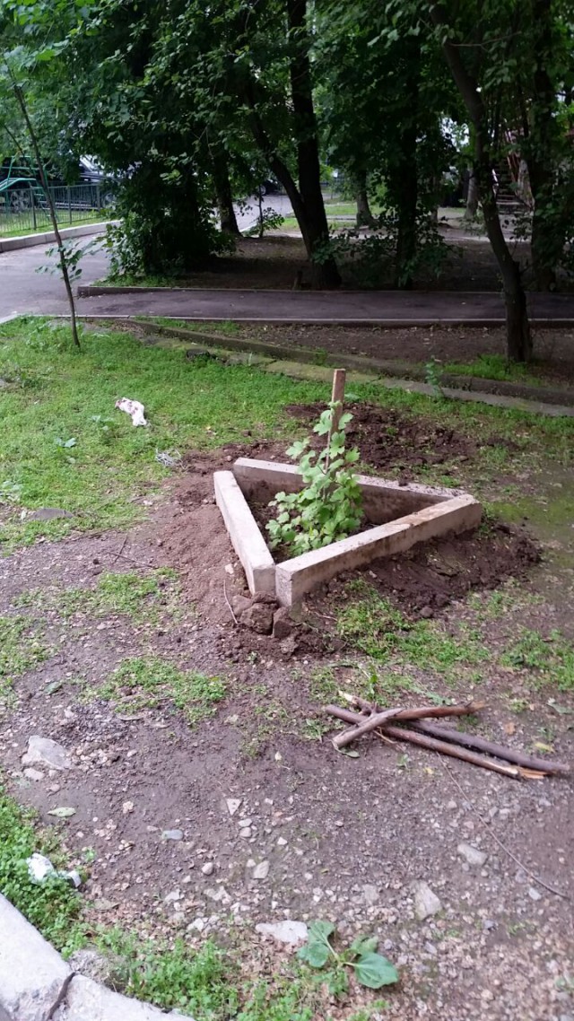 Деревенская Америка - 2