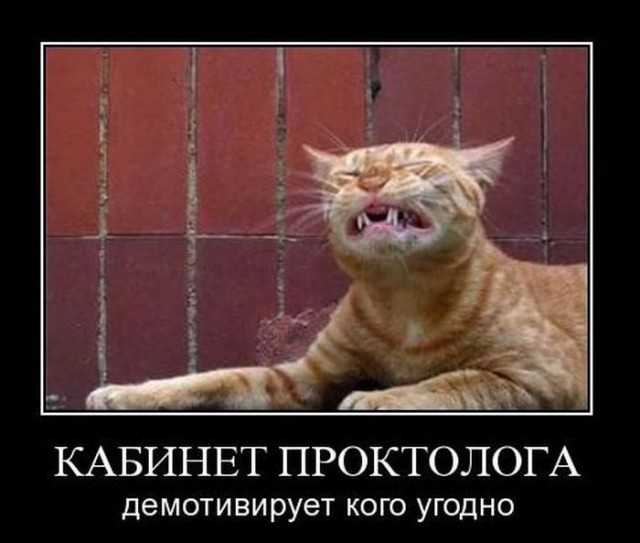Весёлые картинки