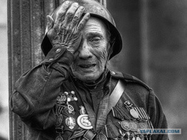 "Погляди на моих бойцов..."