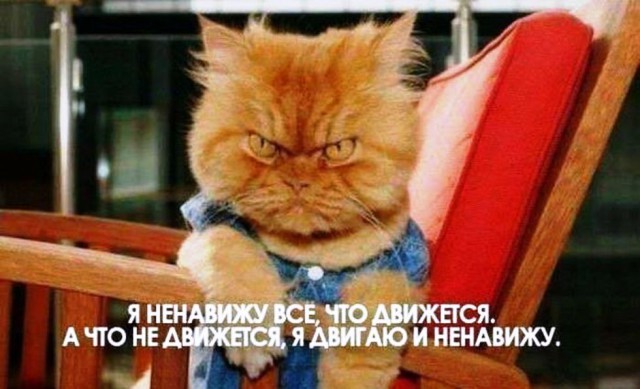 Подборка интересных и веселых картинок