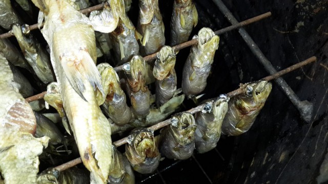Арктика моими глазами