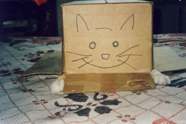 Коты и Кошки