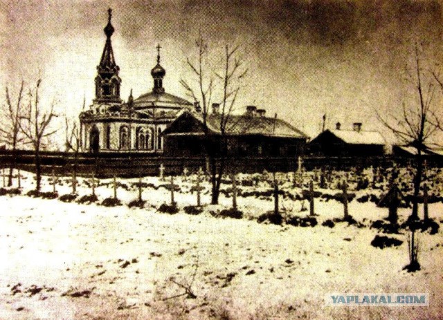 Почтальону из тюменского села, пожаловавшейся Путину на зарплату, предложили уволиться
