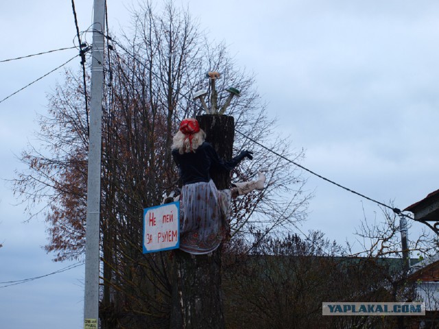 Подборка интересных и веселых картинок