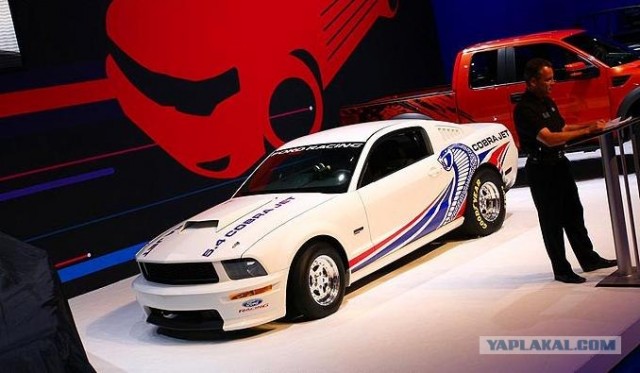 Sema Show 2008 (30 фото)