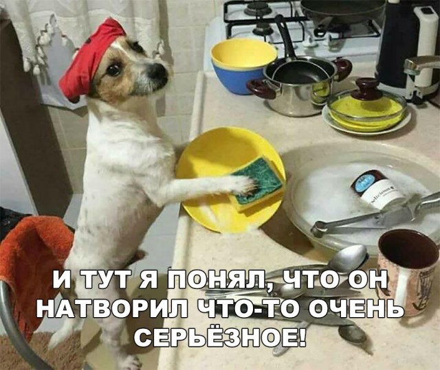 Нестандартный юмор