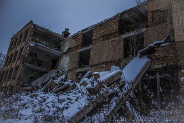 Камеры-ловушки в Чернобыльской зоне показали нечто невероятное
