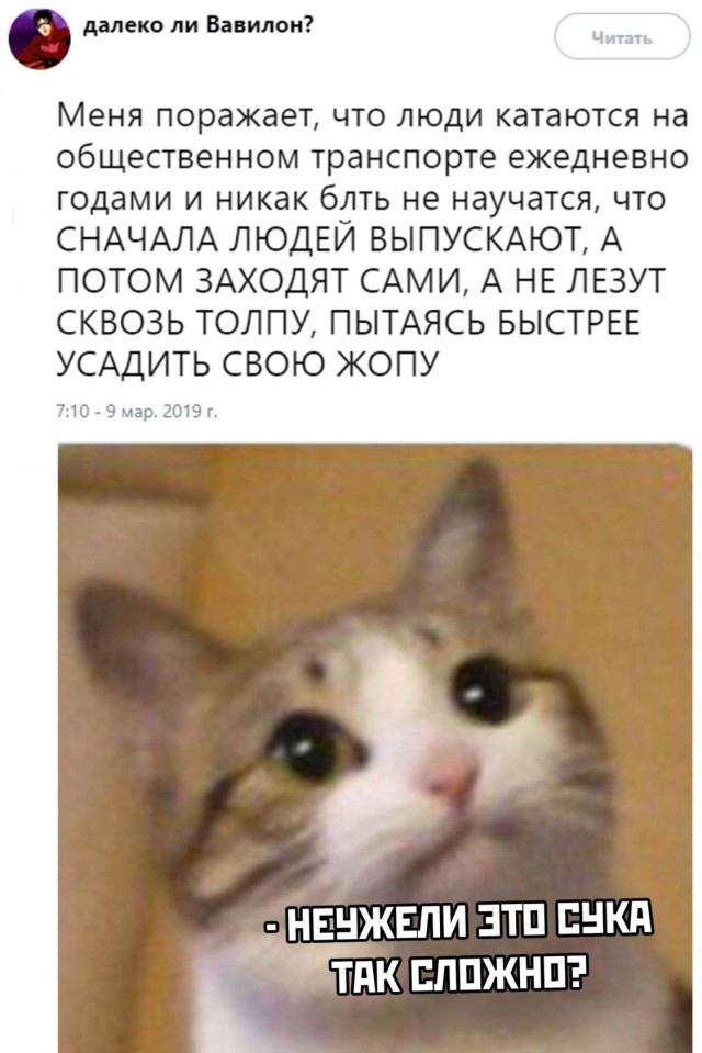 Умные такие мысли