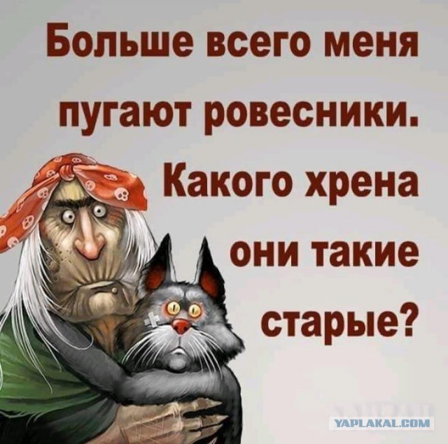 Анекдоты, соц-сети, истории и картинки с надписями