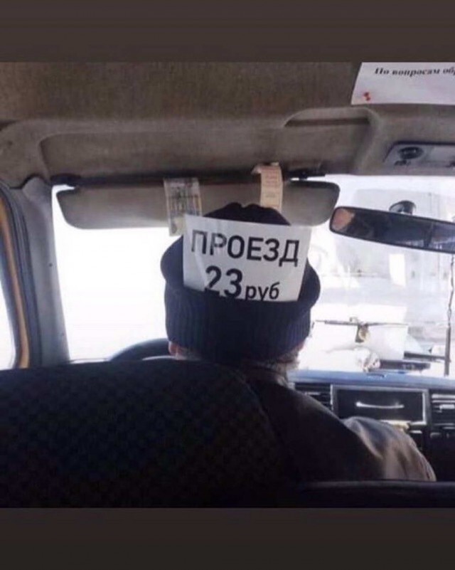 Скотсети и прочие интернеты 29.03.19