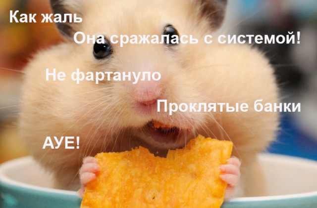 Кассира, похитившую 23 млн и сбежавшую с мужем и детьми, задержала полиция и ФСБ