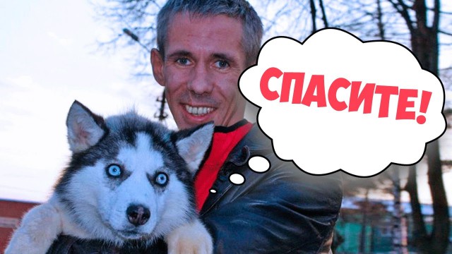 Никогда не суйте руки в морду незнакомой собаке