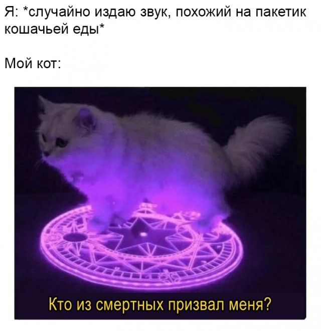 Забавные шутки, картинки и фразы из этих ваших интернетов