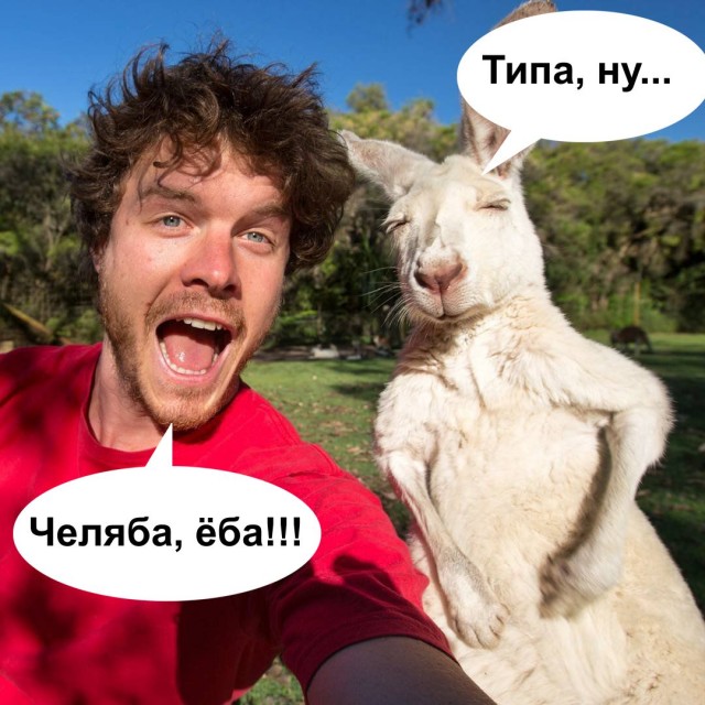 Нищебродки, не для вас мои ягодки росли!