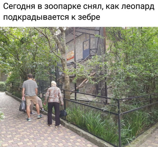 Бредзона 22.09.2020