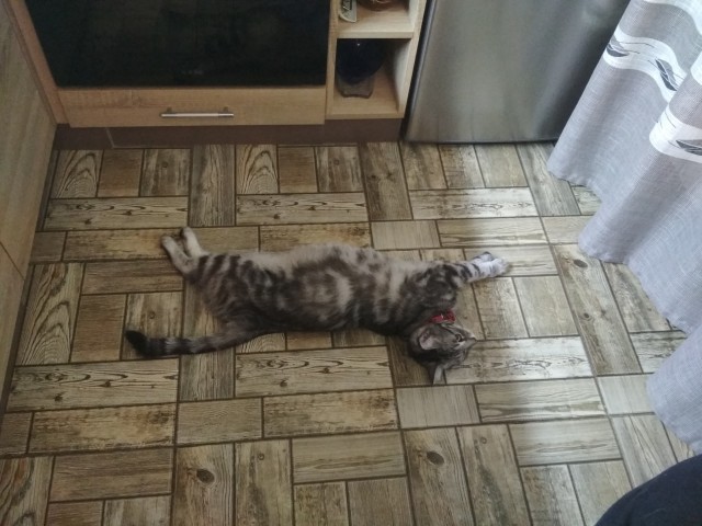 Когда фотографируешься на паспорт