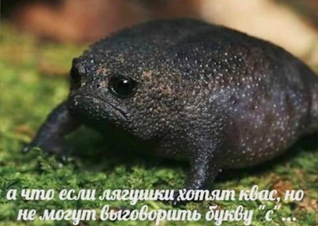 АХТУНГ! все на плановую деградацию!