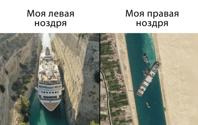 Картинки и мемы для настроения 01.04.2021