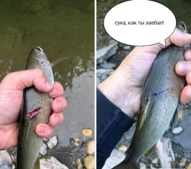 Рыбка через 1,5 месяца