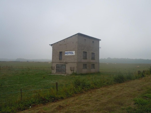 Выпь