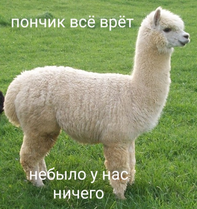 Купил себе реалистичную секс-куклу