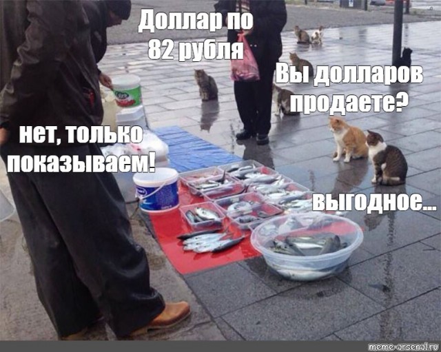 Курс доллара упал ниже ₽81 впервые с 23 февраля