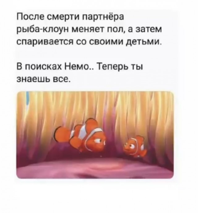 Улыбнись, не грусти!