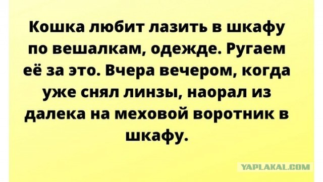 Картинки с надписями и всякие жизненные фразы