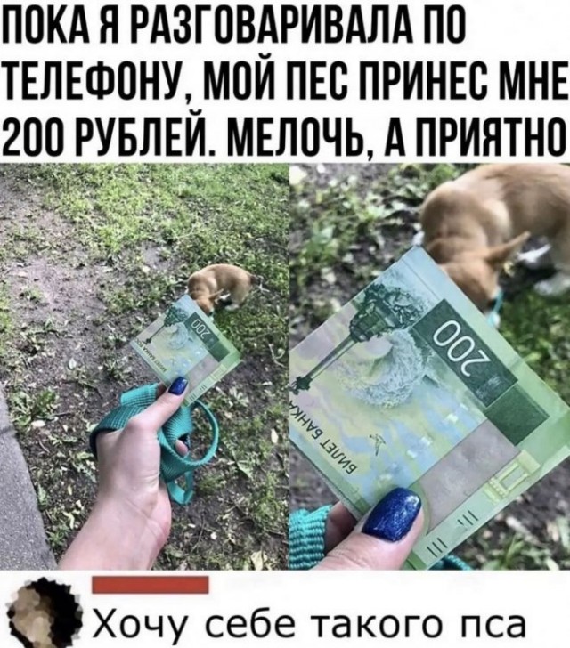 Картинки и мемы для настроения - 19
