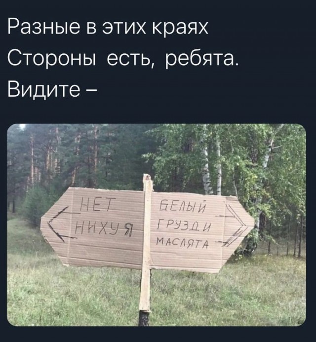 Картинки 21.06.22