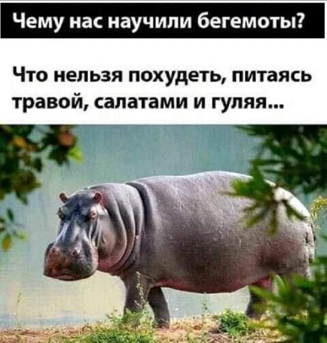 Картинки с надписями и всякие жизненные фразы