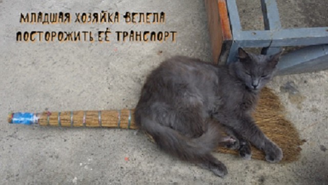 Необычные картинки 19.07.2022