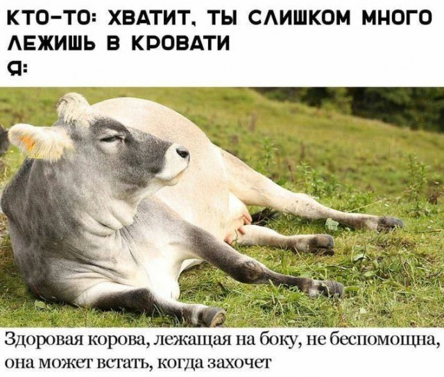 Мемы на конец июля