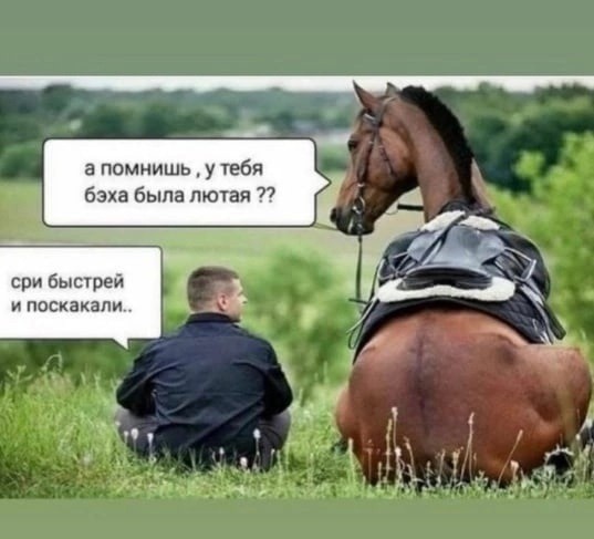 А помнишь у тебя бэха была?