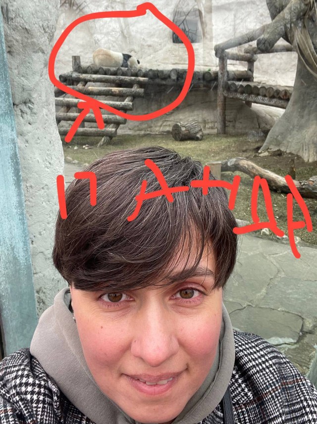 Словарный запас пополнен