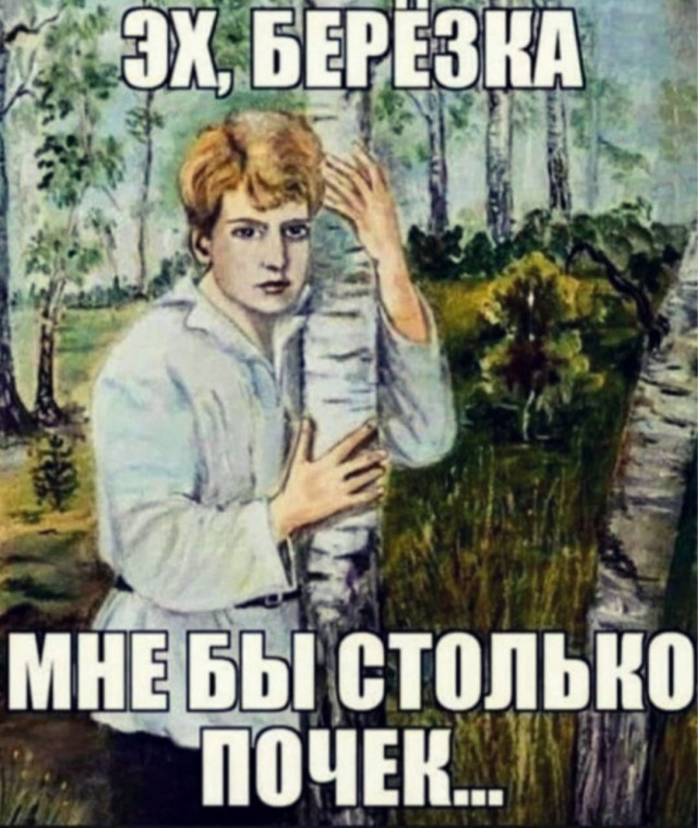 Набор картинок