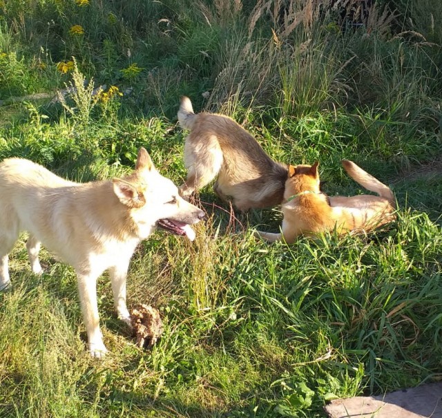 Четверг