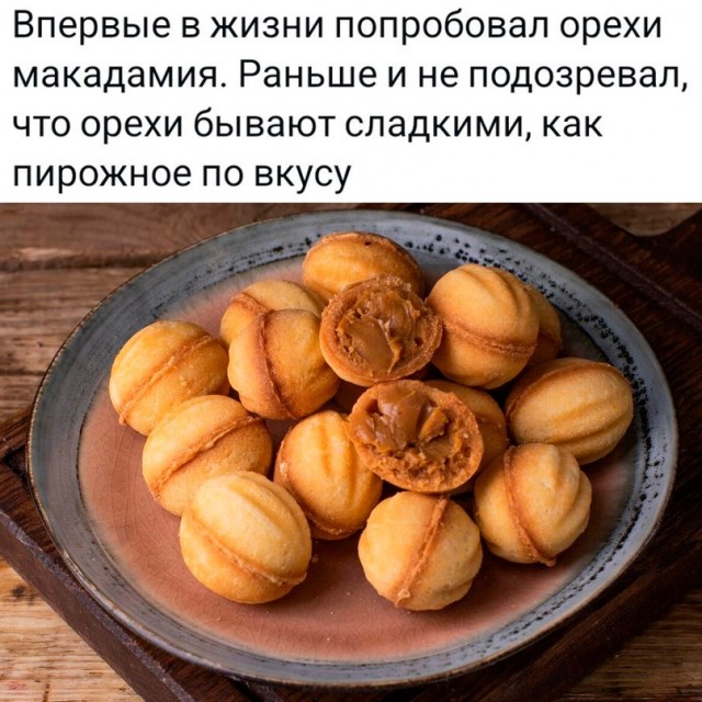 Весёлый полтишок 09.11.23