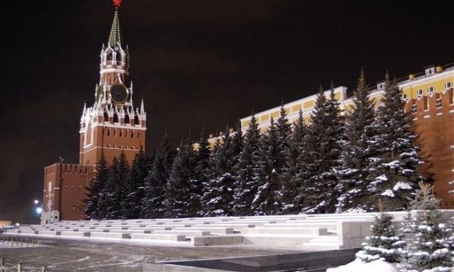 Чиновники Ардатова, несмотря на сопротивление жительницы, спили и забрали ель, которую сажал её отец