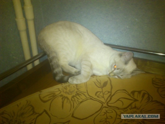 Почистил телефон