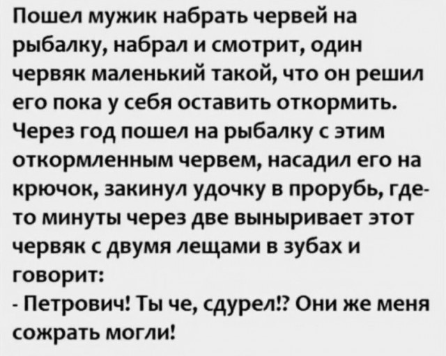 Так себе картинки 23.12.23