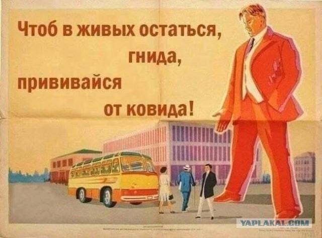Прикольные и просто красивые картинки 02.02.2024