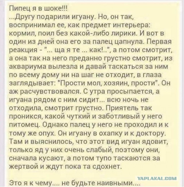Весенний маразм наступает!