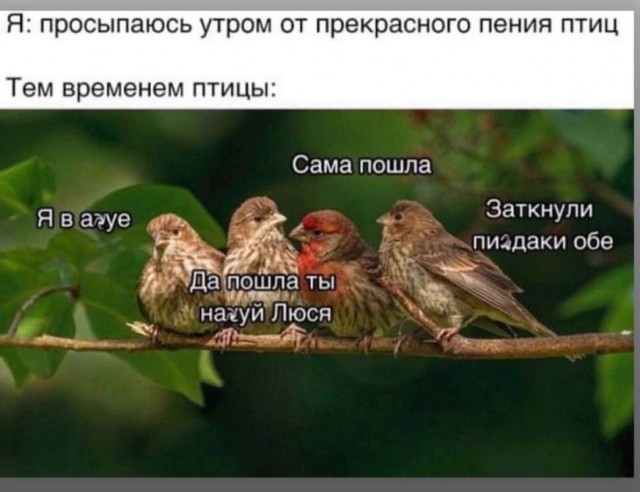 Всего понемногу. От 02.04.24