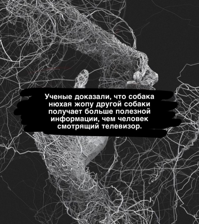Так себе картинки 24.07.24
