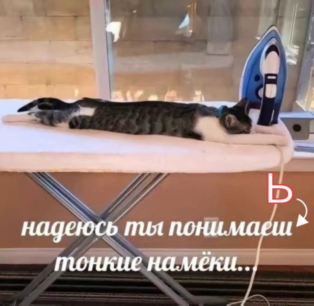 Так себе картинки 30.08.24