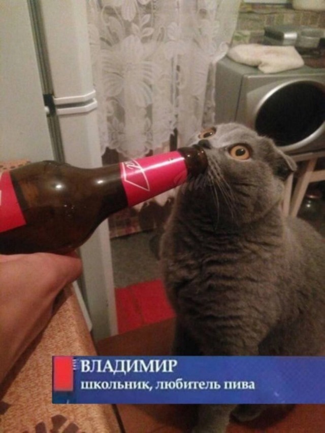 42 пятничных картинки 13.09.2024