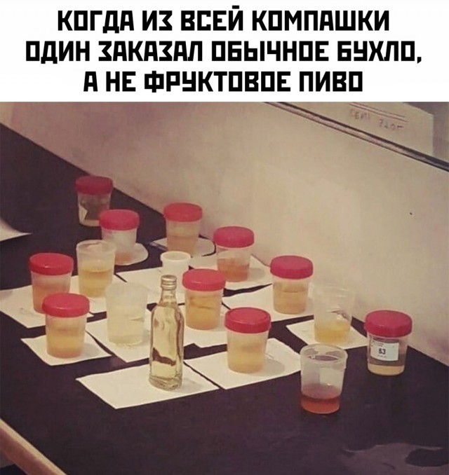 Весёлый полтишок 14.10.2024