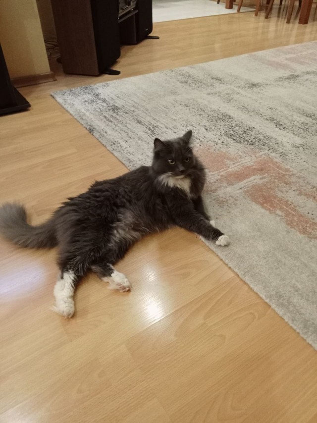 Третий круг