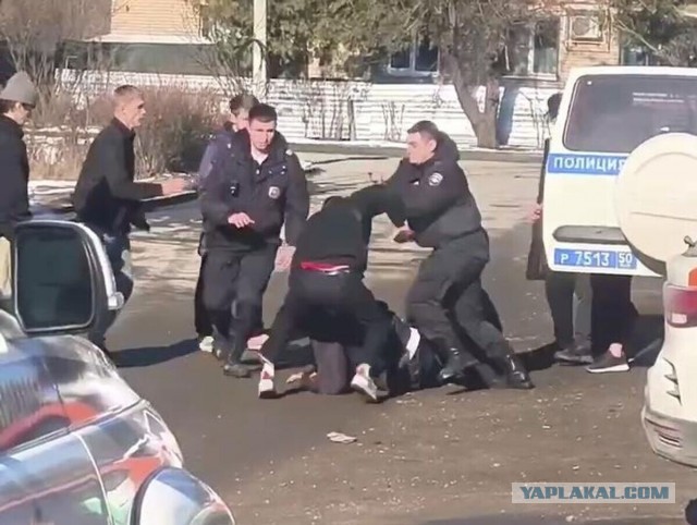 В Подмосковье задержали почти 30 человек за сопротивление полиции